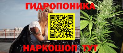 таблы Ставрополь