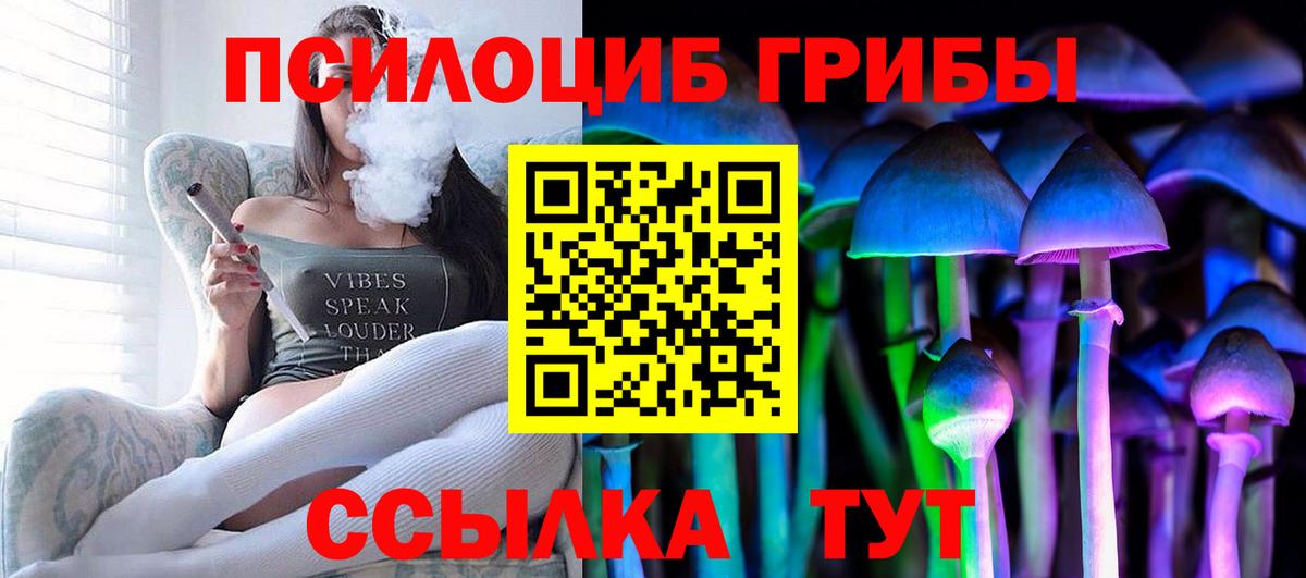 Галлюциногенные грибы Psilocybine cubensis  Вход с VPN  Галлюциногенные грибы Psilocybe  Борзя 